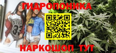 a pvp Моздок