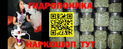 a pvp Моздок