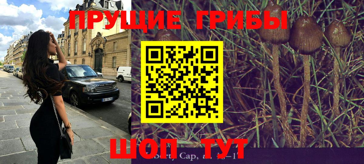 Галлюциногенные грибы Cubensis Анжеро-Судженск