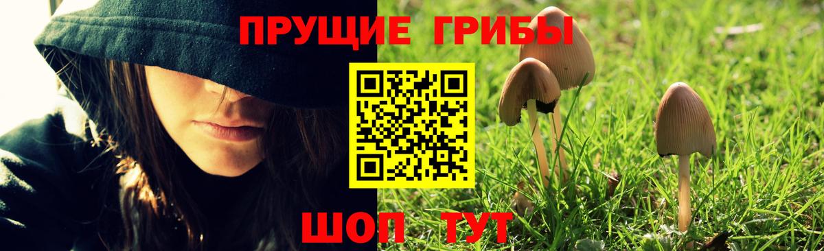 Галлюциногенные грибы Cubensis  Галлюциногенные грибы мицелий  Анжеро-Судженск  Вход с VPN 